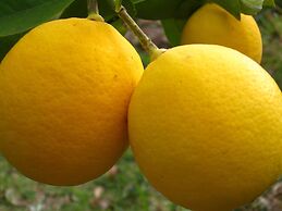 Seaside House 2 Double Bedrooms With Spectacular Mountain Sea View