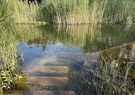 Du côté de Chez SAM La Marguetière