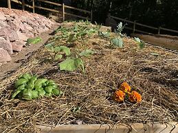 Du côté de Chez SAM La Marguetière