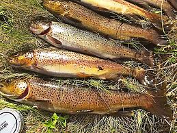 6 Person Holiday Home in Kviby-by Traum