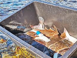 6 Person Holiday Home in Kviby-by Traum