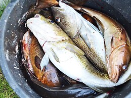 11 Person Holiday Home in Fjortoft-by Traum