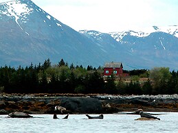 11 Person Holiday Home in Fjortoft-by Traum