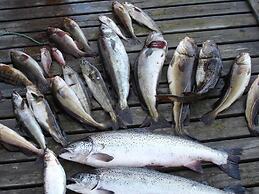 12 Person Holiday Home in Jelsa