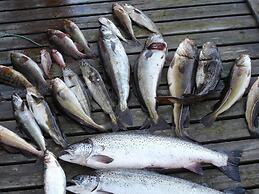 12 Person Holiday Home in Jelsa