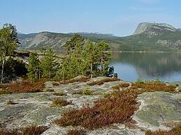 8 Person Holiday Home in Vrådal
