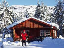 8 Person Holiday Home in Vrådal