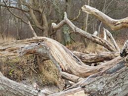 6 Person Holiday Home in Asnaes-by Traum