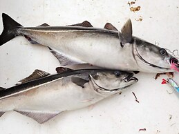 Holiday Home in Tornes I Romsdal