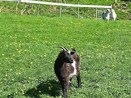 6 Person Holiday Home in Onarheim