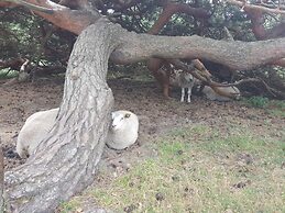 Luxury Pool Retreat Udsholt - By Traum Ferienwohnungen