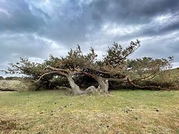 Luxury Pool Retreat Udsholt - By Traum Ferienwohnungen