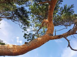 Luxury Pool Retreat Udsholt - By Traum Ferienwohnungen