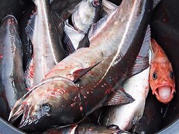 Holiday Home in Rebbenes