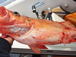 Holiday Home in Rebbenes