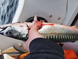 Holiday Home in Rebbenes