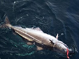 Holiday Home in Rebbenes