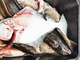 Holiday Home in Rebbenes