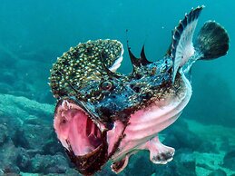 6 Person Holiday Home in Foldroyhamn