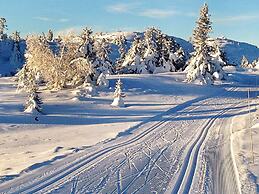 Holiday Home in Svingvoll