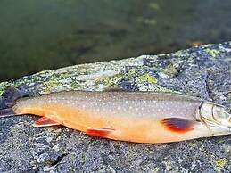 4 Person Holiday Home in Botnhamn