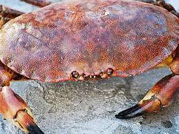 10 Person Holiday Home in Brattvag