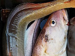 10 Person Holiday Home in Brattvag