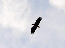 10 Person Holiday Home in Brattvag