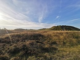 16 Person Holiday Home in Romo
