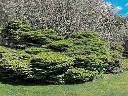 Picturesque Holiday Home in Hovedstaden With Sauna