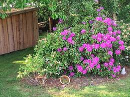 Seaside Oasis in Skovmose-by Traum