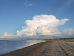 Seaside Serenity at Knasborg Beach-by Traum