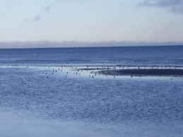 Seaside Serenity at Knasborg Beach-by Traum