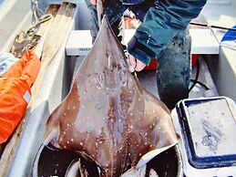 6 Person Holiday Home in Eidsvag