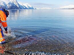 10 Person Holiday Home in Lyngseidet