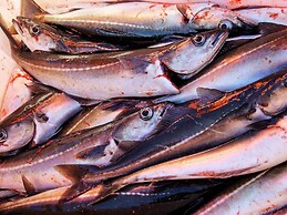 10 Person Holiday Home in Lyngseidet