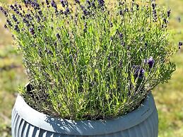 6 Person Holiday Home in Hallabro