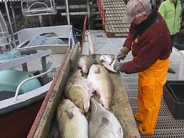 6 Person Holiday Home in Oksvoll