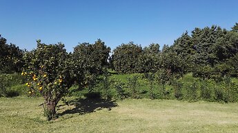 Tenuta San Calogero