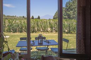 Tenuta San Calogero