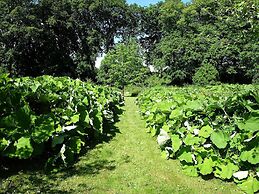 6 Person Holiday Home in Hojslev-by Traum