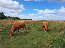 6 Person Holiday Home in Hojslev-by Traum