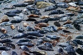 Cowshed Cottage Located nr Kynance Cove