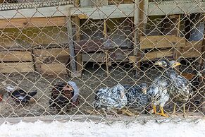 Chácara Master - O Melhor de Guararema