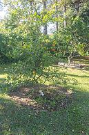 Chácara Master - O Melhor de Guararema