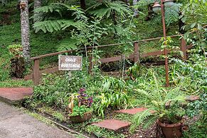 Vale do Lajeado - Campos do Jordão