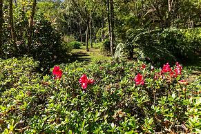 Vale do Lajeado - Campos do Jordão