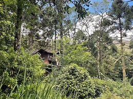 Vale do Lajeado - Campos do Jordão