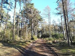 4 Person Holiday Home in Gedser
