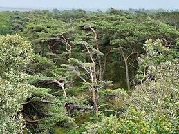 Tranquil Thatched Cottage on Romo-by Traum